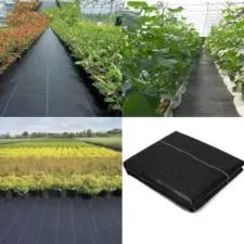 Agrowłóknina czarna 90g/m 1,6x50m + 50 Szpilek.