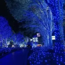 Lampki choinkowe świąteczne 500 LED Niebieski