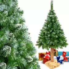 Choinka sosna diamentowa na pniu 220cm + Worek