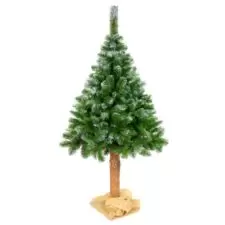 Choinka sosna diamentowa na pniu 220cm + Worek