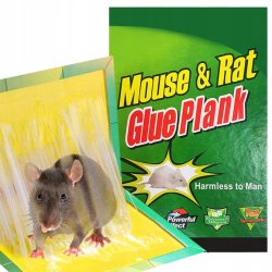 Myszołapka lep na myszy