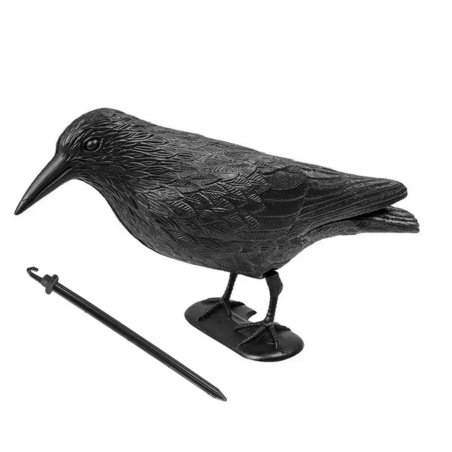 Kruk odstraszacz ptaków stojący