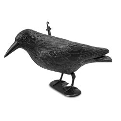 Kruk odstraszacz ptaków stojący