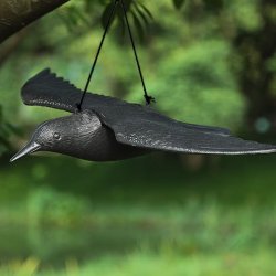 Kruk odstraszacz ptaków wiszący