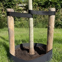 Taśma elastyczna do wiązania roślin 30mm/40m