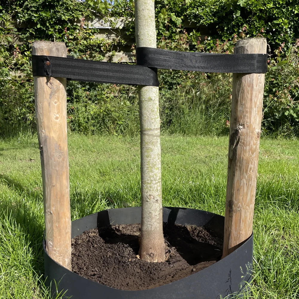 Taśma elastyczna do wiązania roślin 30mm/60m