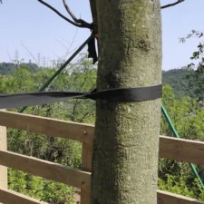 Taśma elastyczna do wiązania roślin 30mm/60m