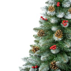 Choinka Sosna diamentowa + Syszki + Jarzębina 1,8m