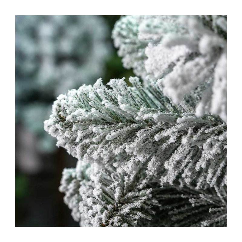 Choinka na pniu ośnieżona opadające gałązki 210cm