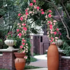 Pergola ogrodowa metalowa łuk ze szpicem 260cm