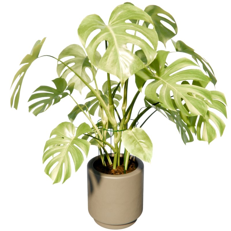 Podpora do roślin 25x45cm 3 sztuki