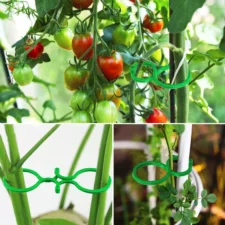 Uchwyty do mocowania roślin 40 sztuk