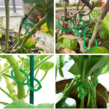 Uchwyty do mocowania roślin 40 sztuk