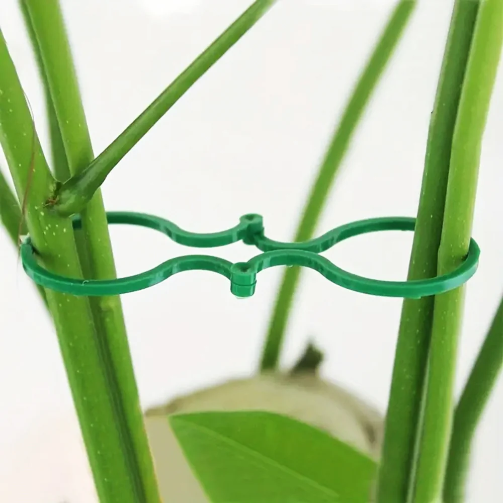 Uchwyty do mocowania roślin 40 sztuk