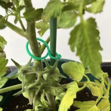 Uchwyty do mocowania roślin 40 sztuk