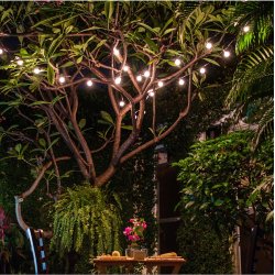 Girlanda solarna ogrodowa, Żarówki 10 LED