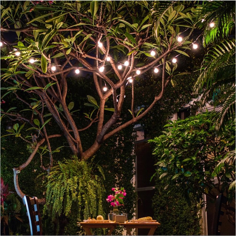 Girlanda solarna ogrodowa, Żarówki 10 LED