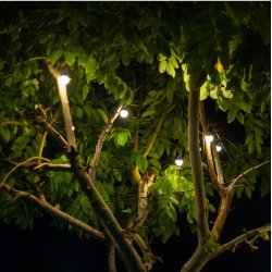 Girlanda solarna ogrodowa, Żarówki 10 LED