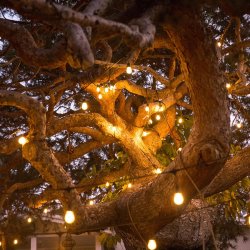 Girlanda ogrodowa 20 LED "Żarówki Jarzeniowe"