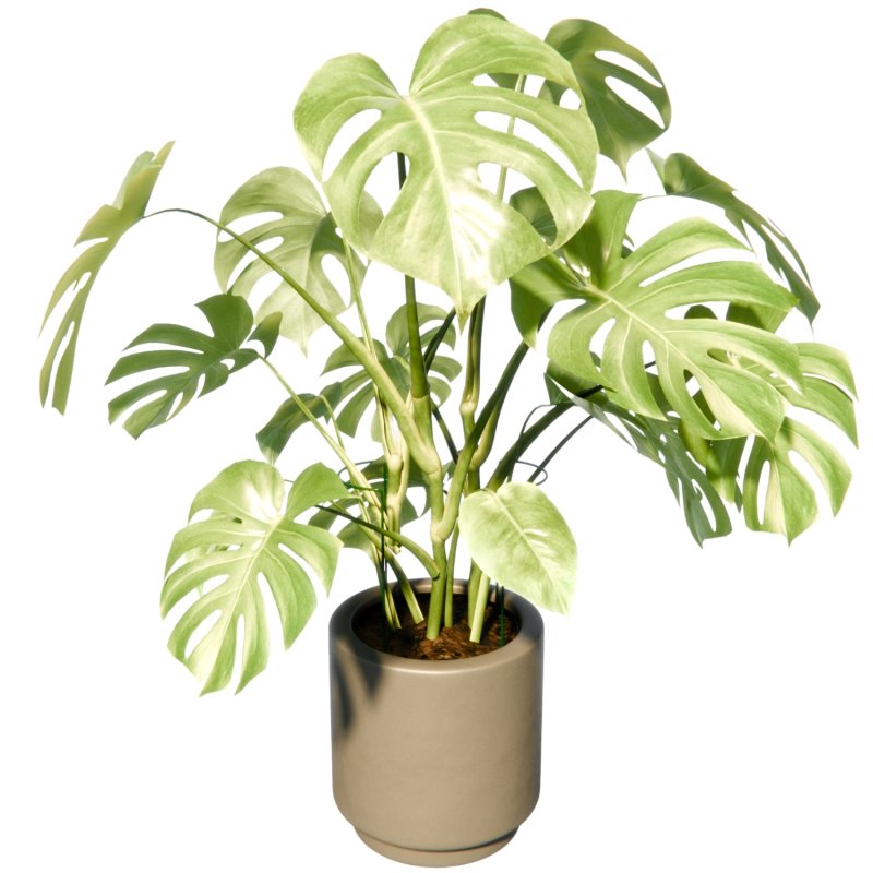 Podpora do roślin 35x70cm 2 sztuki