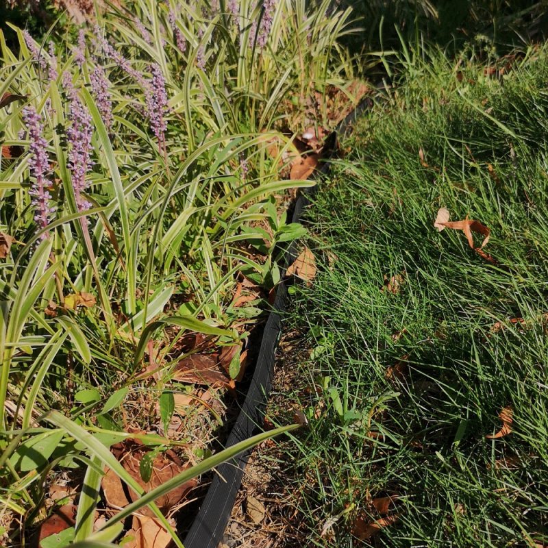 Obrzeże trawnikowe border 20m + 60 kotew