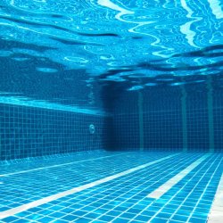 Chlor do basenu chlorox granulat 1kg