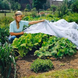 Agrotkanina okryciowa biała 3,2x5m 30g