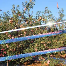 Taśma odblaskowa do odstraszania gołębi, szpaków oraz ptaków 50m