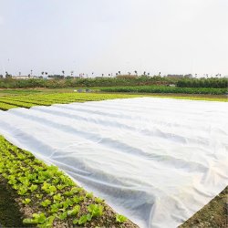 Agrowłóknina zimowa okryciowa biała 1,6x10m 50g/m2