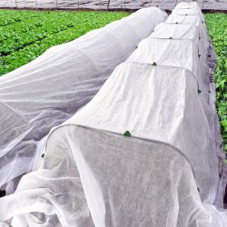 Agrowłóknina zimowa okryciowa biała 1,6x10m 50g/m2