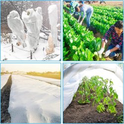 Agrowłóknina zimowa okryciowa biała 1,6x20m 50g/m2