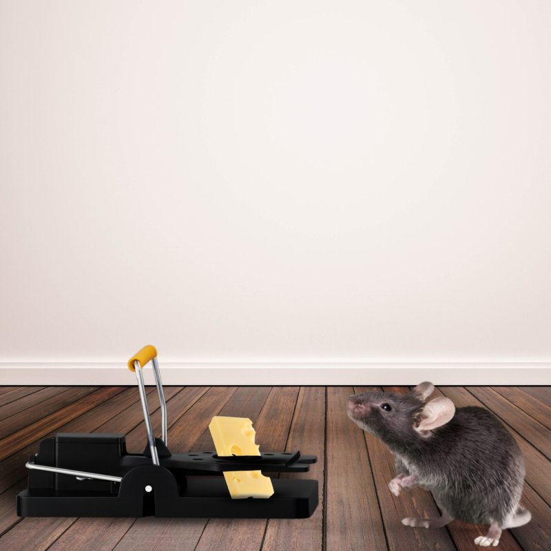 Pułapka klasyczna gilotynowa na szczury, myszy i gryzonie 2 sztuki