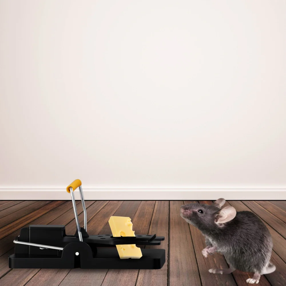 Pułapka klasyczna gilotynowa na szczury, myszy i gryzonie 2 sztuki Pułapka klasyczna gilotynowa na szczury, myszy i gryzonie 2 sztuki