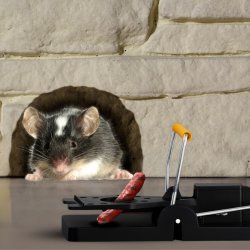 Pułapka klasyczna gilotynowa na szczury, myszy i gryzonie 2 sztuki