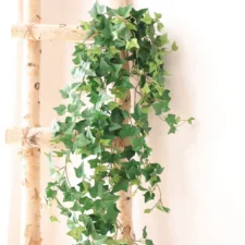 Sztuczny bluszcz girlanda ozdobna z liśćmi 6 sztuk 12 metrów