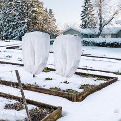 Kaptur do roślin agrowłóknina okryciowa zimowa 50g/m2 100x120cm