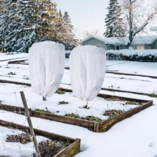 Kaptur do roślin agrowłóknina okryciowa zimowa 50g/m2 100x120cm