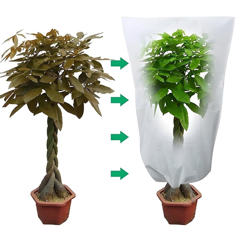 Kaptur do roślin agrowłóknina okryciowa zimowa 50g/m2 60x80cm