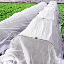 Agrowłóknina zimowa okryciowa biała 1,6x50m 30g/m2