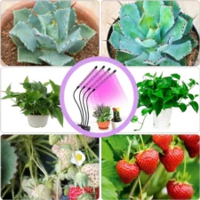 Lampa UV do uprawy i wzrostu roślin 60LED Klips