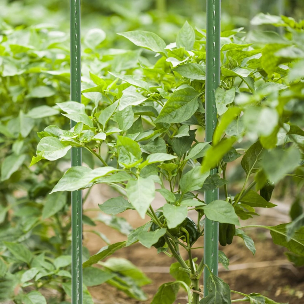 Tyczki do roślin pnących podpora 11mm 120cm 10 sztuk
