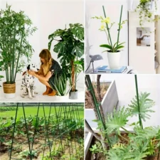 Tyczki do roślin pnących podpora 11mm 120cm 10 sztuk