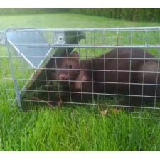 Żywołapka na kuny, łasice i szczury bezpieczna dla zwierząt metalowa pułapka 82x21x20cm