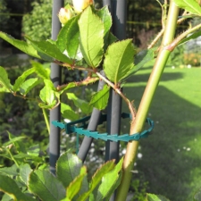 Opaski zaciskowe wielorazowe do roślin regulowane trytytki 100 szt.