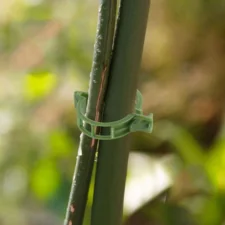 Kipsy do mocowania roślin zapinki 50 sztuk