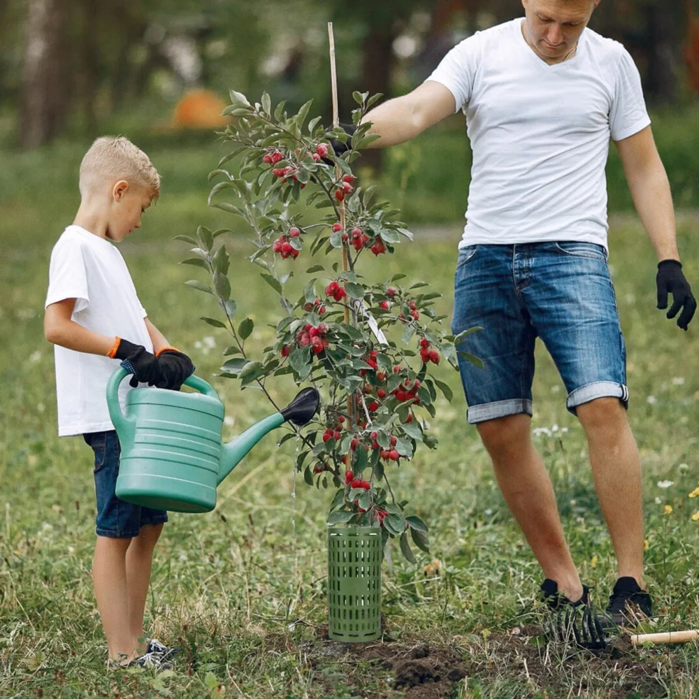 Osłona na pieńki drzew i innych roślin Zielona 6 sztuk