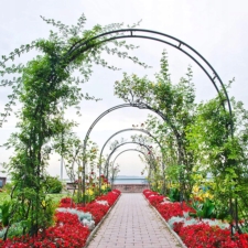 Pergola ogrodowa do róż i roślin pnących metalowa łuk 240cm