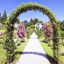 Pergola ogrodowa do róż i roślin pnących metalowa łuk 240cm