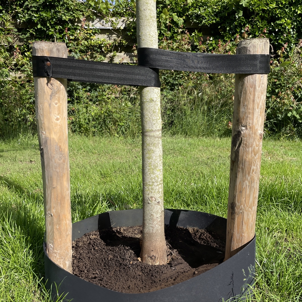 Taśma do mocowania drzew, roślin elastyczna Czarna 40mm / 60m