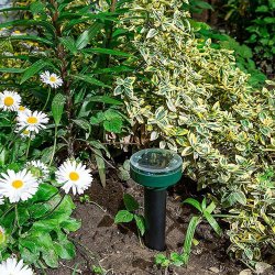 Odstraszacz gryzoni kretów solarny okrągły